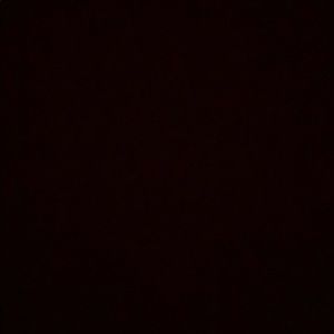 Meet your Posher, Madisen